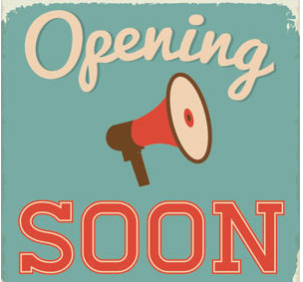 Post-Hurricane Update: Special Collections Re-Opening Schedule
